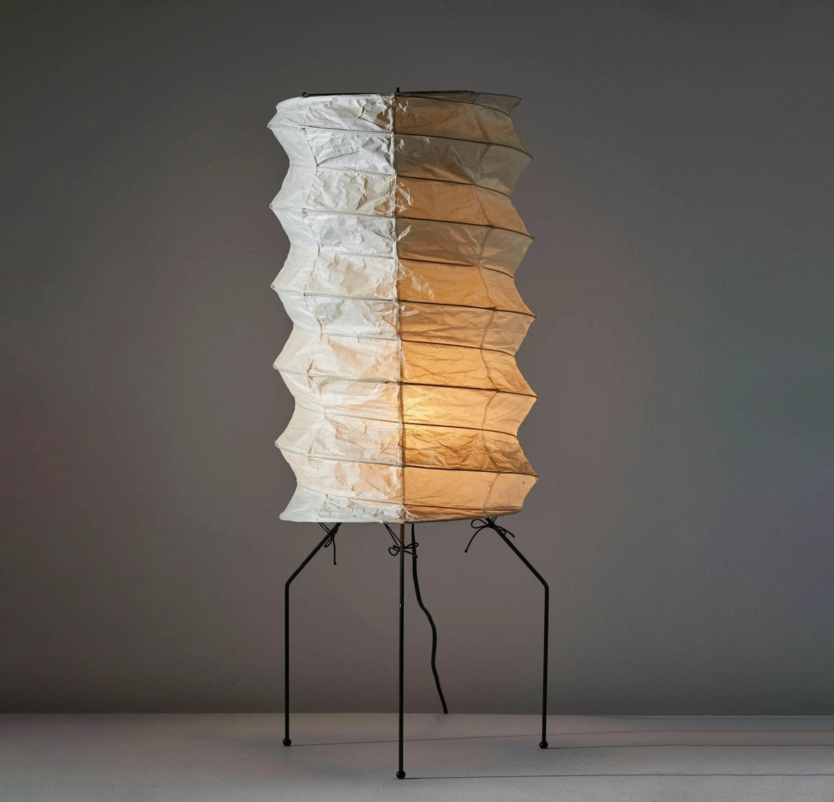 Kaze Origami Floor Lamp