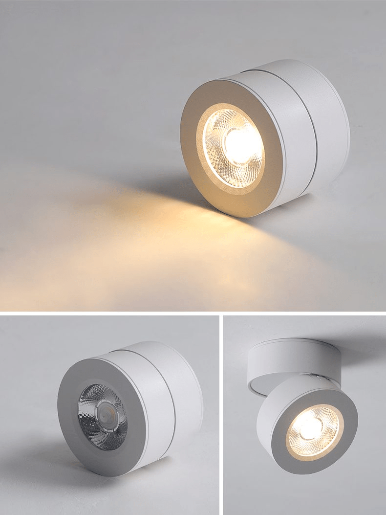 Round Rotating LED Downlight