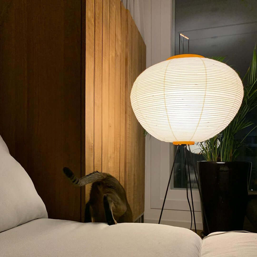 Rice Paper Floor Lamp - view 49
