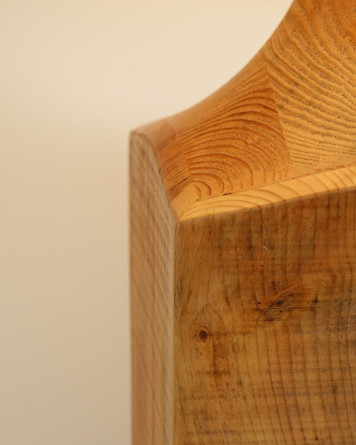 Arboreal Whisper Floor Lamp - view 16
