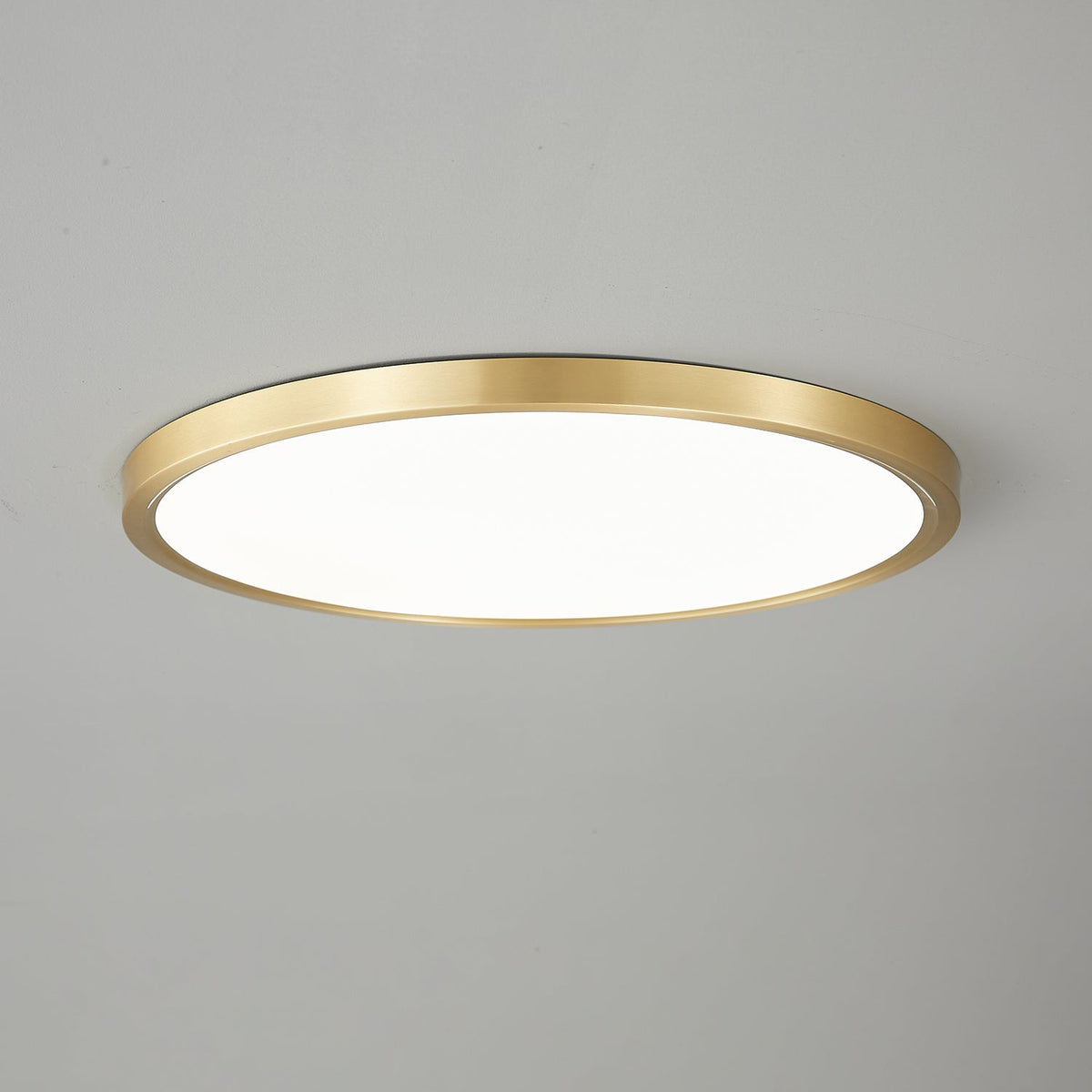 Aurea Disc Ceiling Light