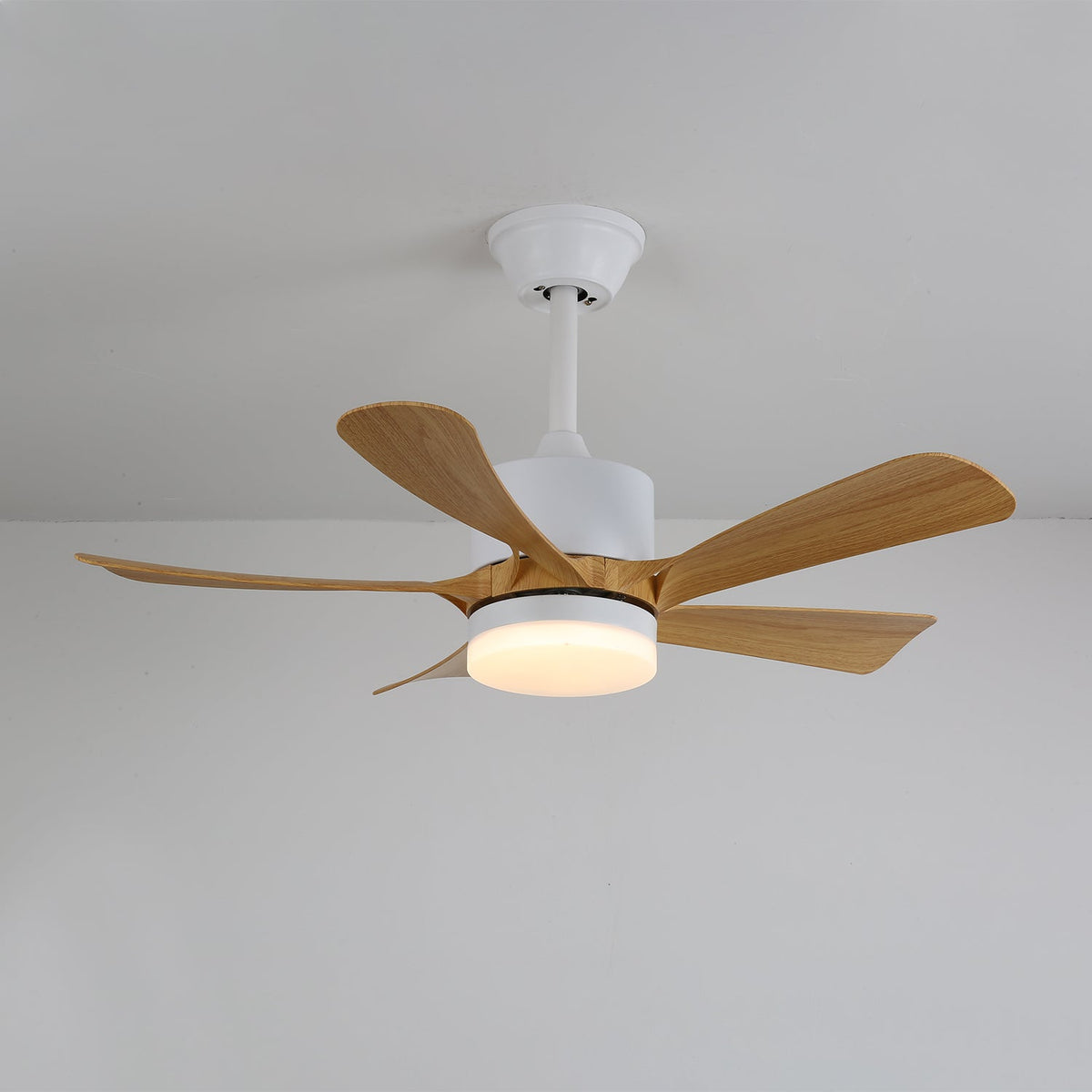 Avenli Ceiling Fan Light