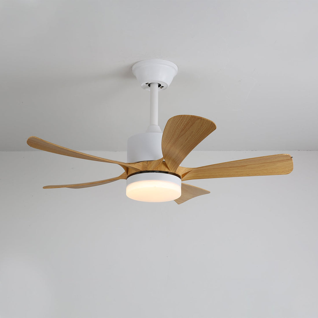 Avenli Ceiling Fan Light