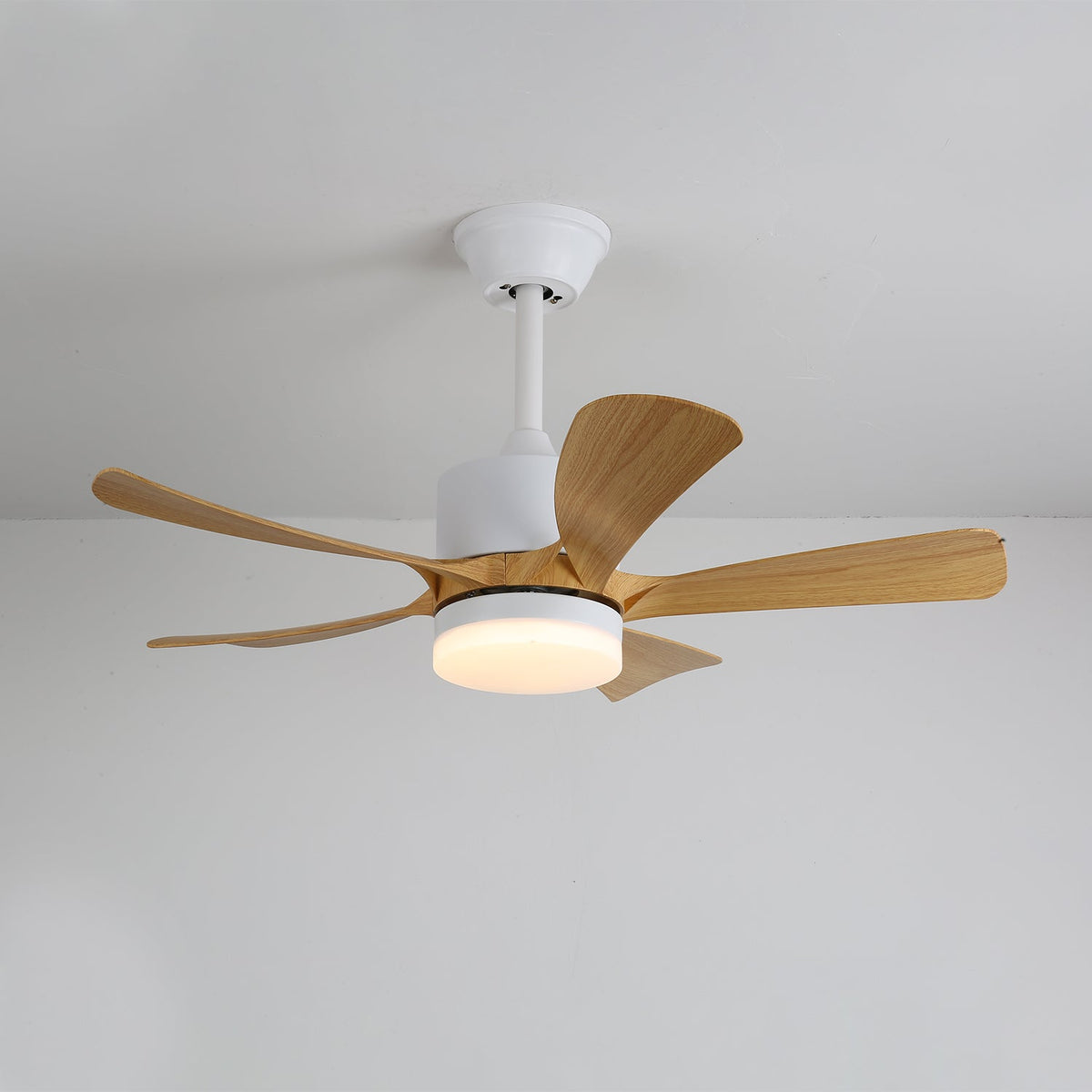 Avenli Ceiling Fan Light