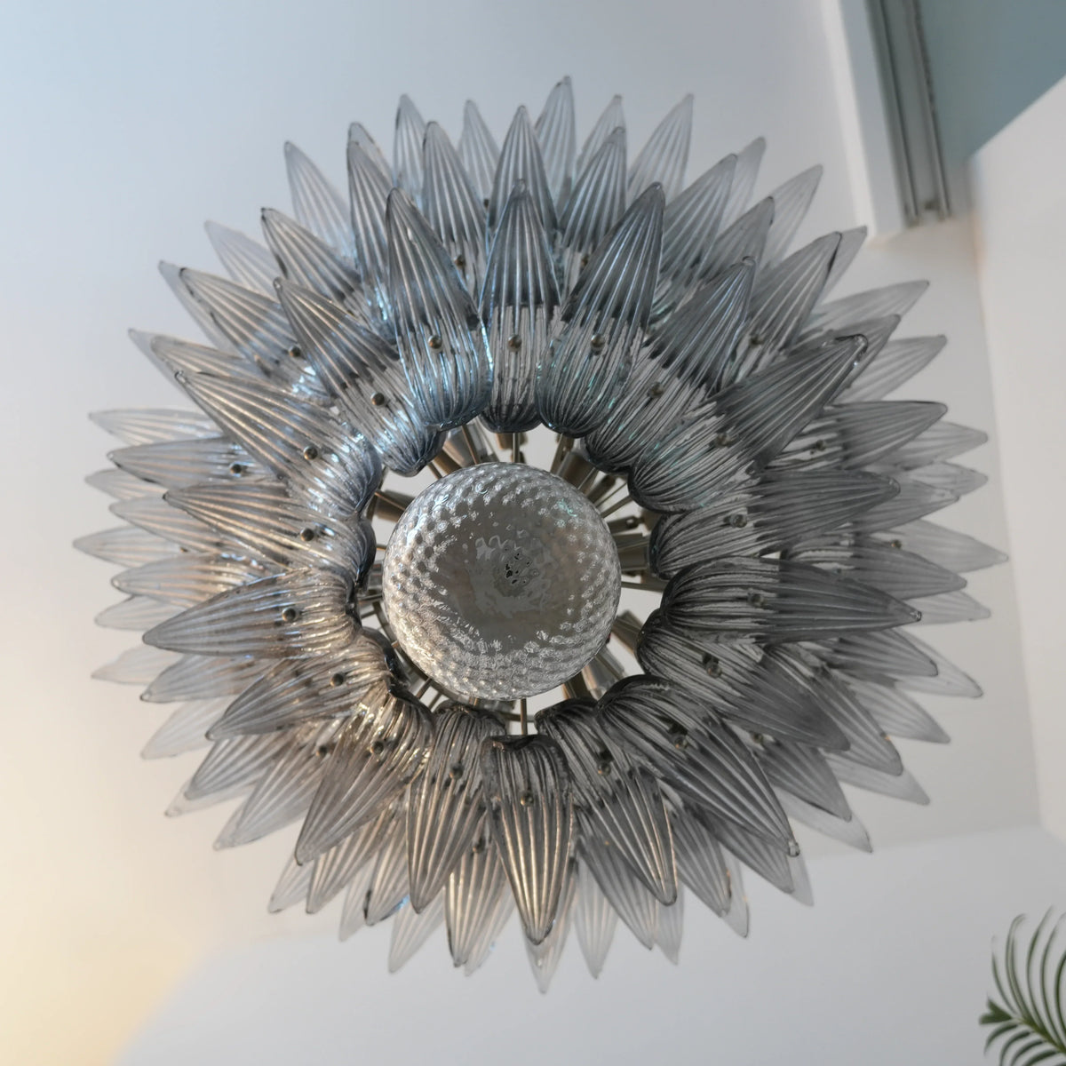 Beautifully Murano Palmette Smoked Chandelier - view 24