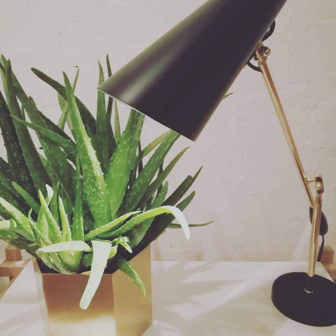 Birdy Table Lamp - view 51