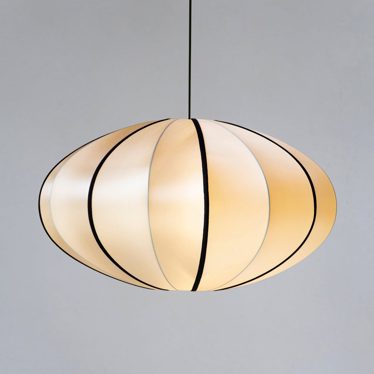 Bombori Pendant Swag Lamp - view 34