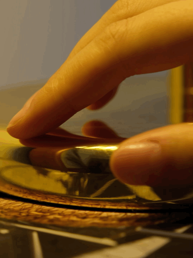 Brass Shell Table Lamp - view 38