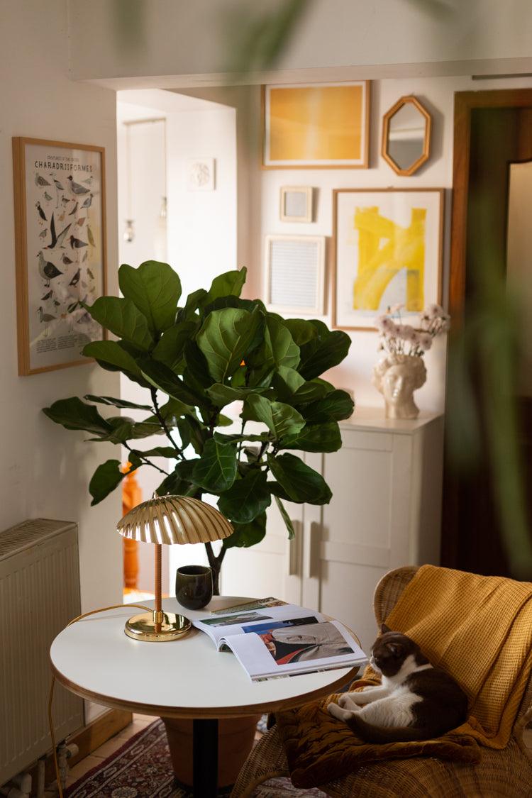 Brass Shell Table Lamp - view 66