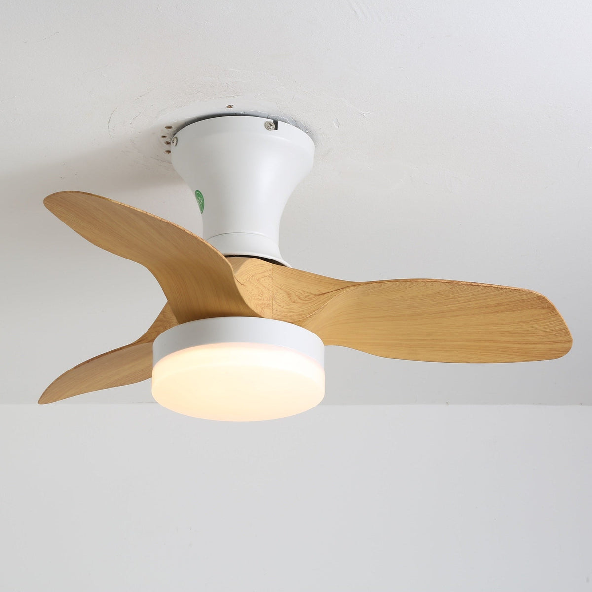 Brisa Ceiling Fan Light