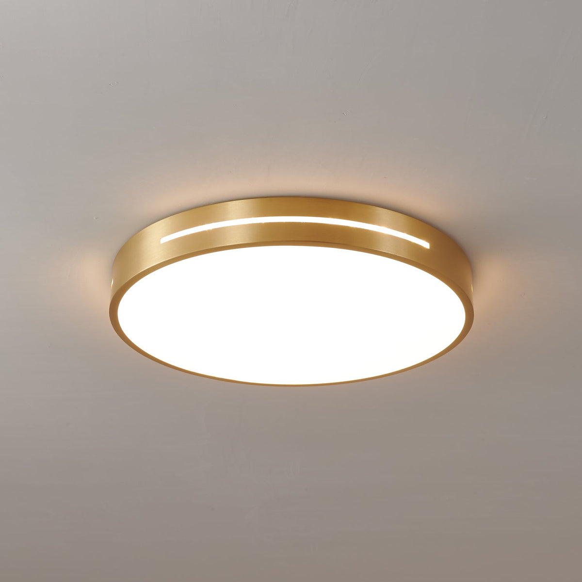 Caelum Ceiling Light