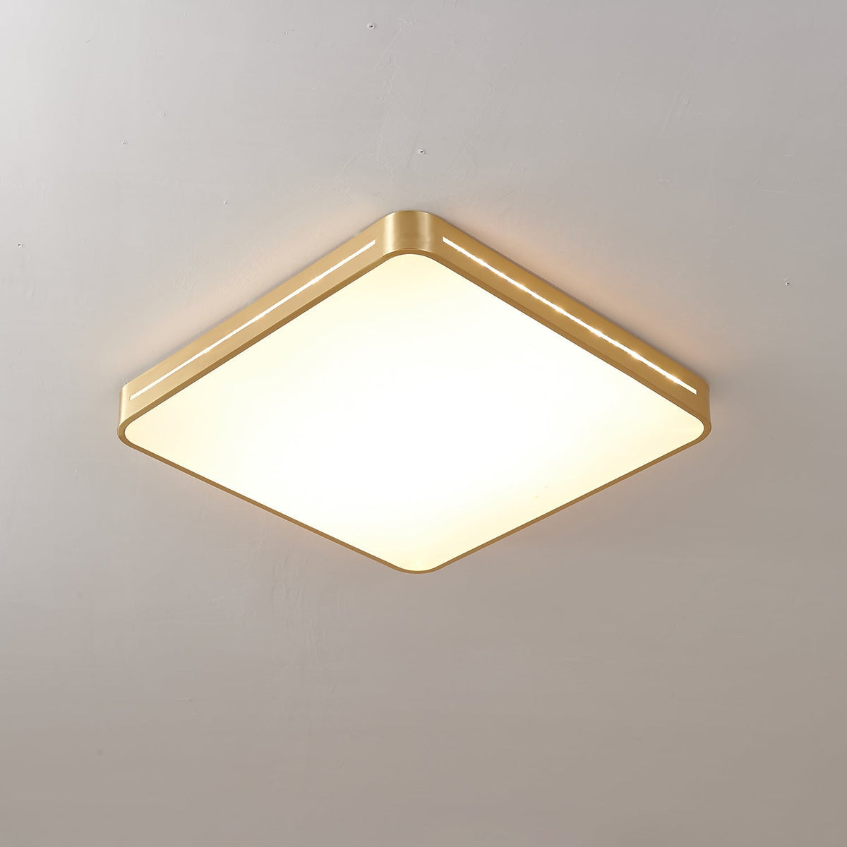 Caelum Ceiling Light