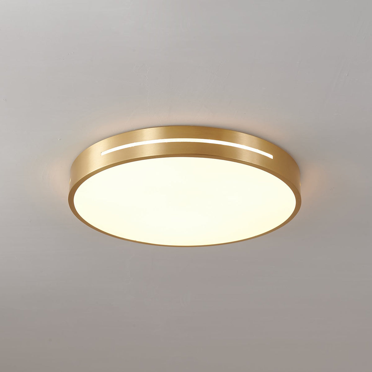 Caelum Ceiling Light