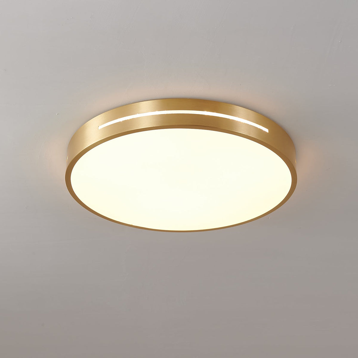 Caelum Ceiling Light