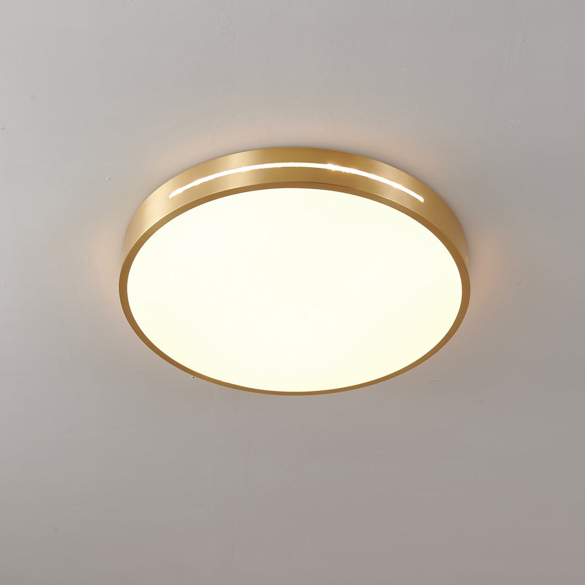 Caelum Ceiling Light