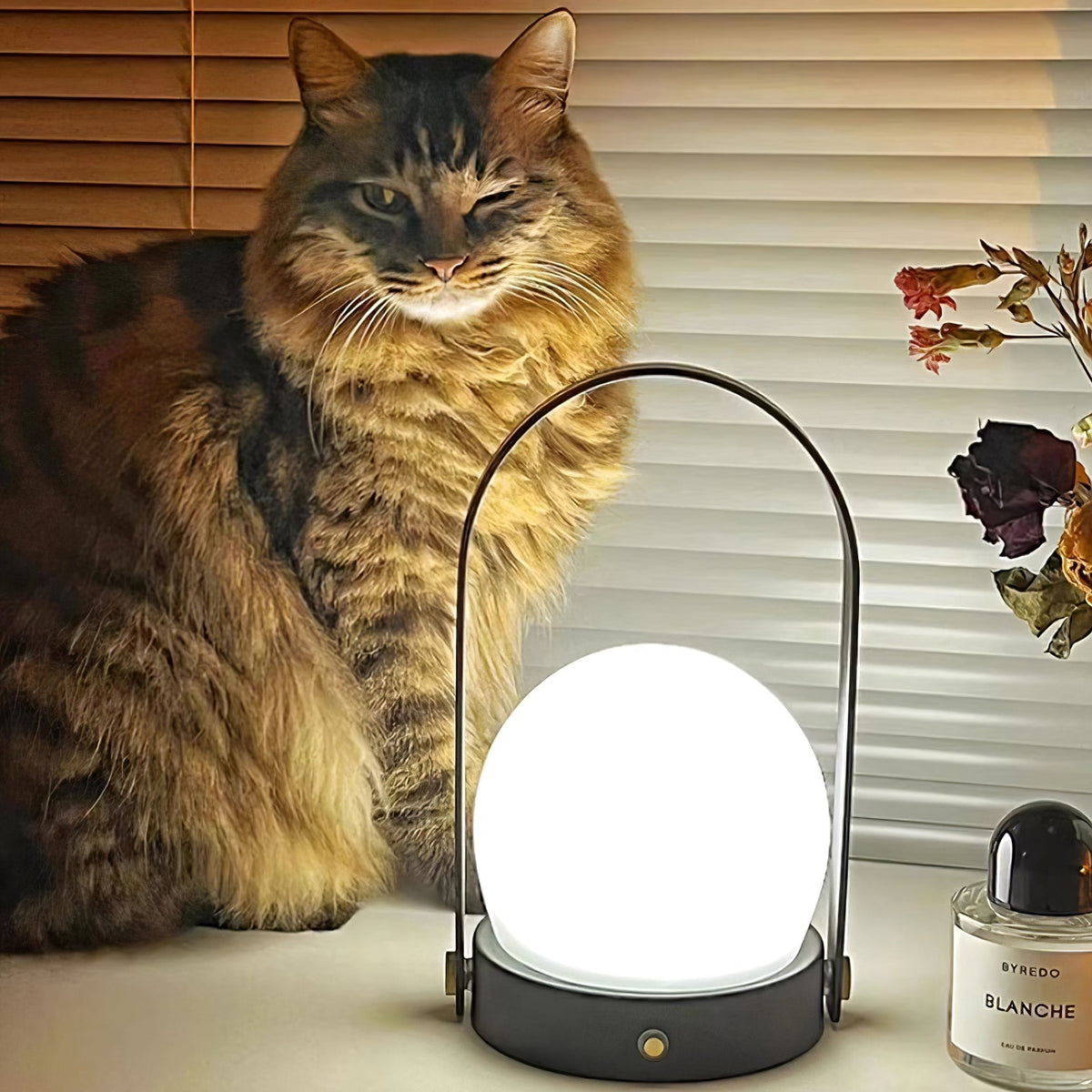 Carrie Built-in Battery Table Lamp - view 78