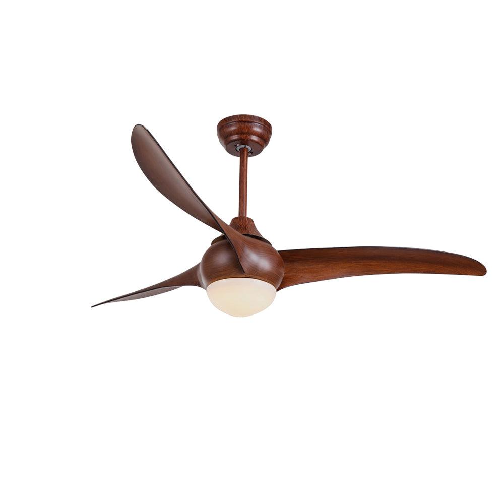 Traditional Ceiling Fan Light - view 21