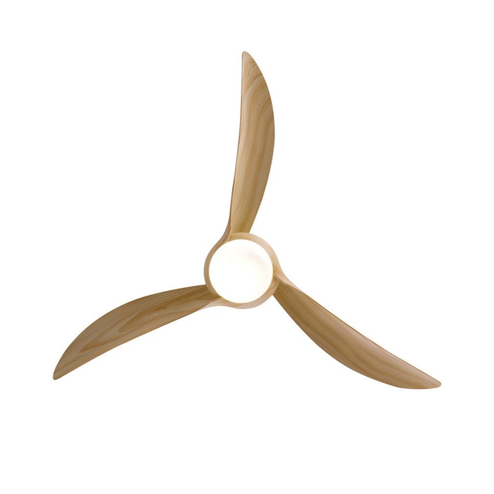 Traditional Ceiling Fan Light - view 22