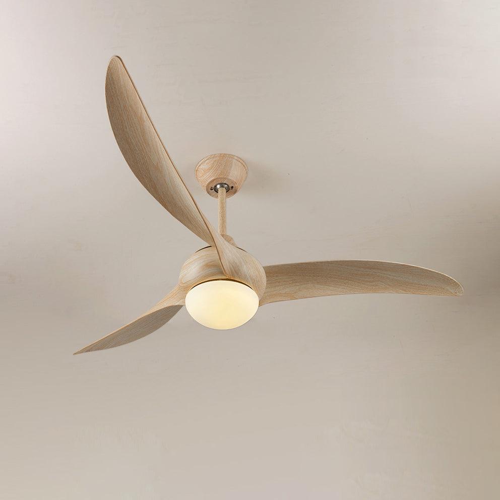 Traditional Ceiling Fan Light - view 23