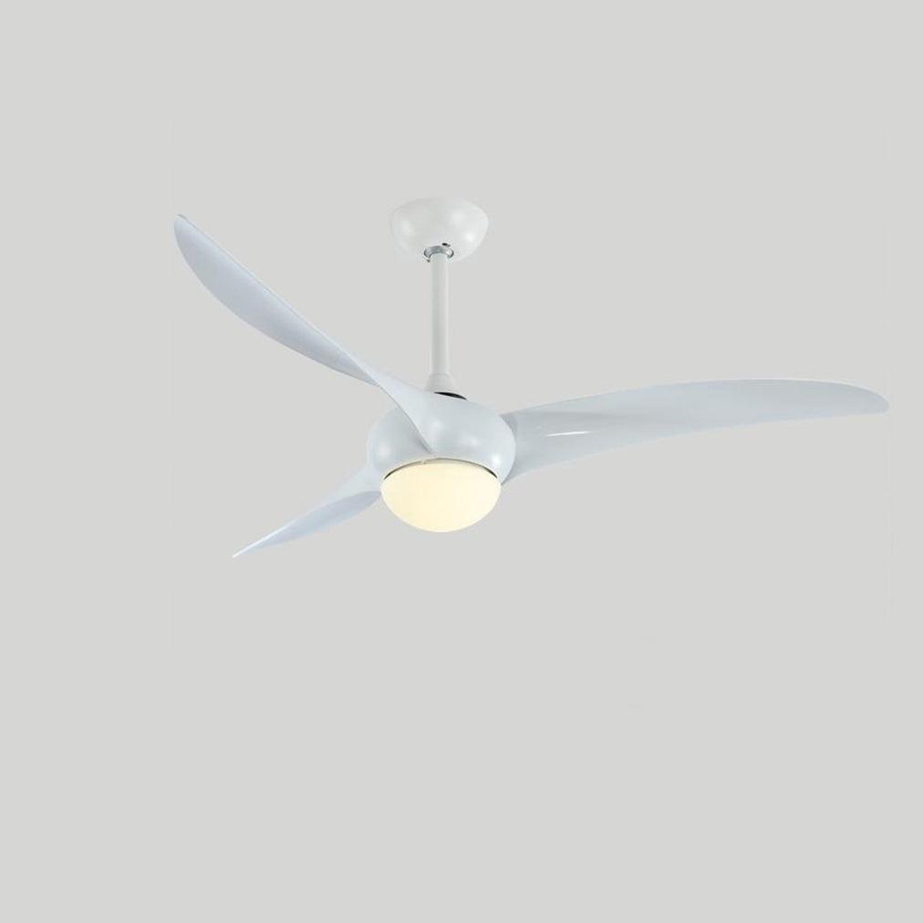 Traditional Ceiling Fan Light - view 27