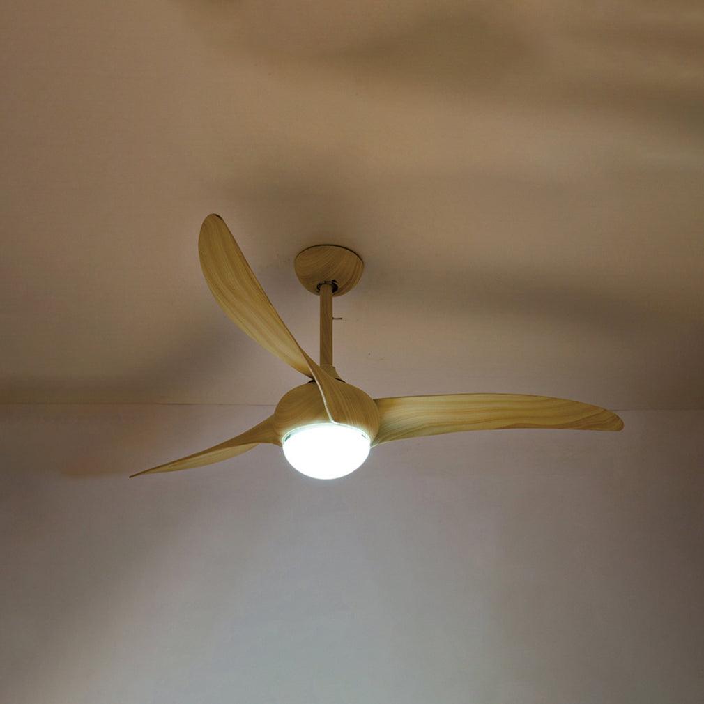 Traditional Ceiling Fan Light - view 12