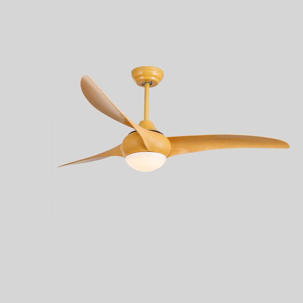 Traditional Ceiling Fan Light - view 17