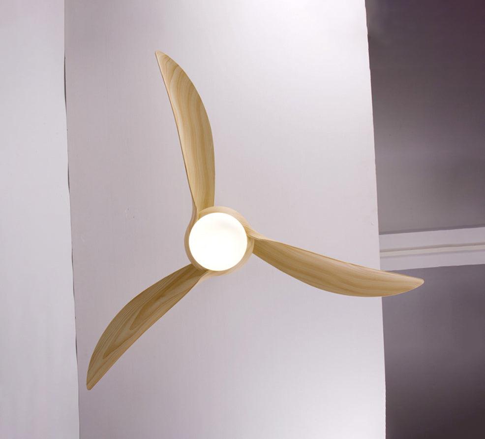 Traditional Ceiling Fan Light - view 18