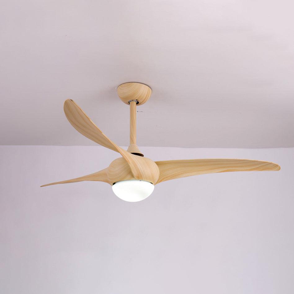 Traditional Ceiling Fan Light - view 19