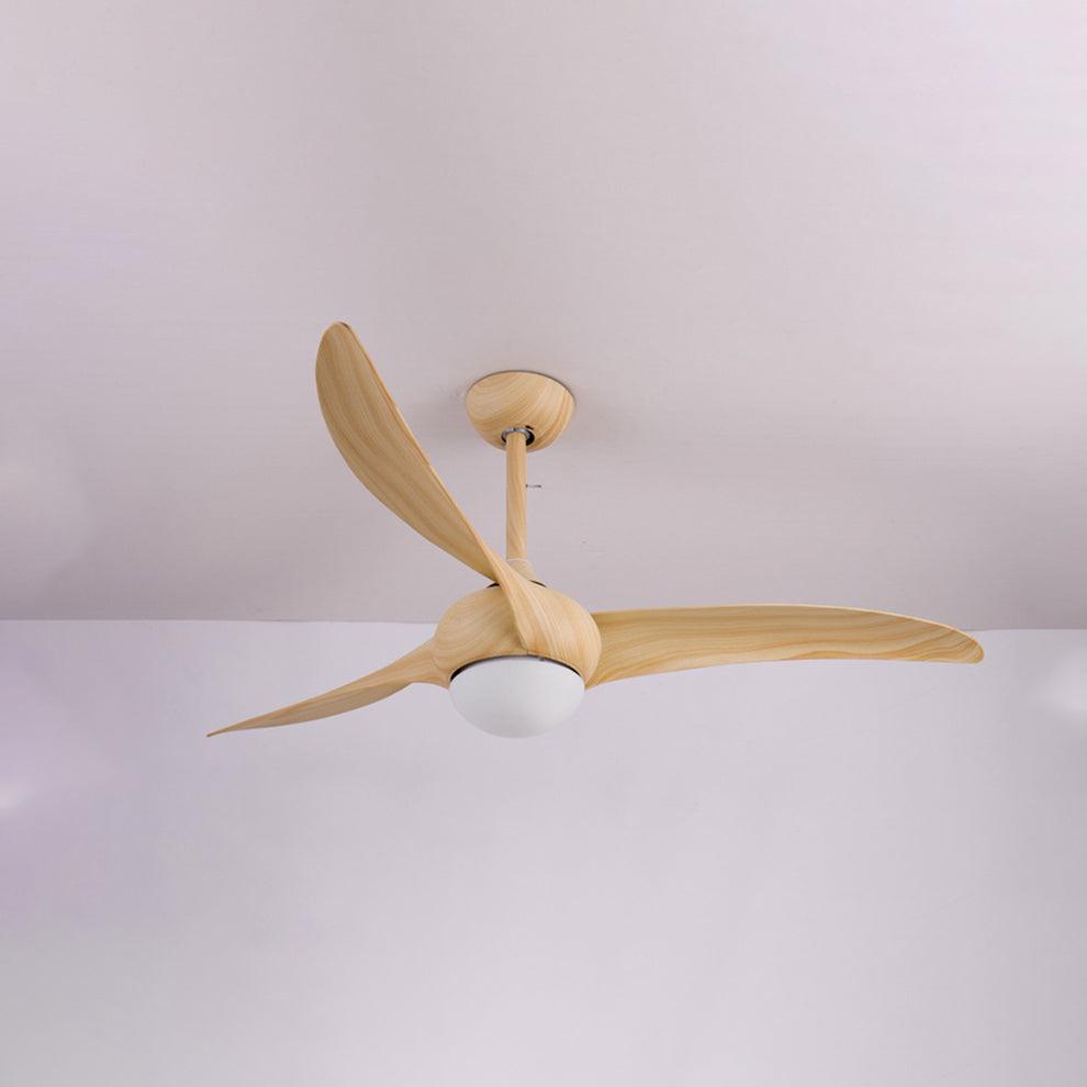 Traditional Ceiling Fan Light - view 20