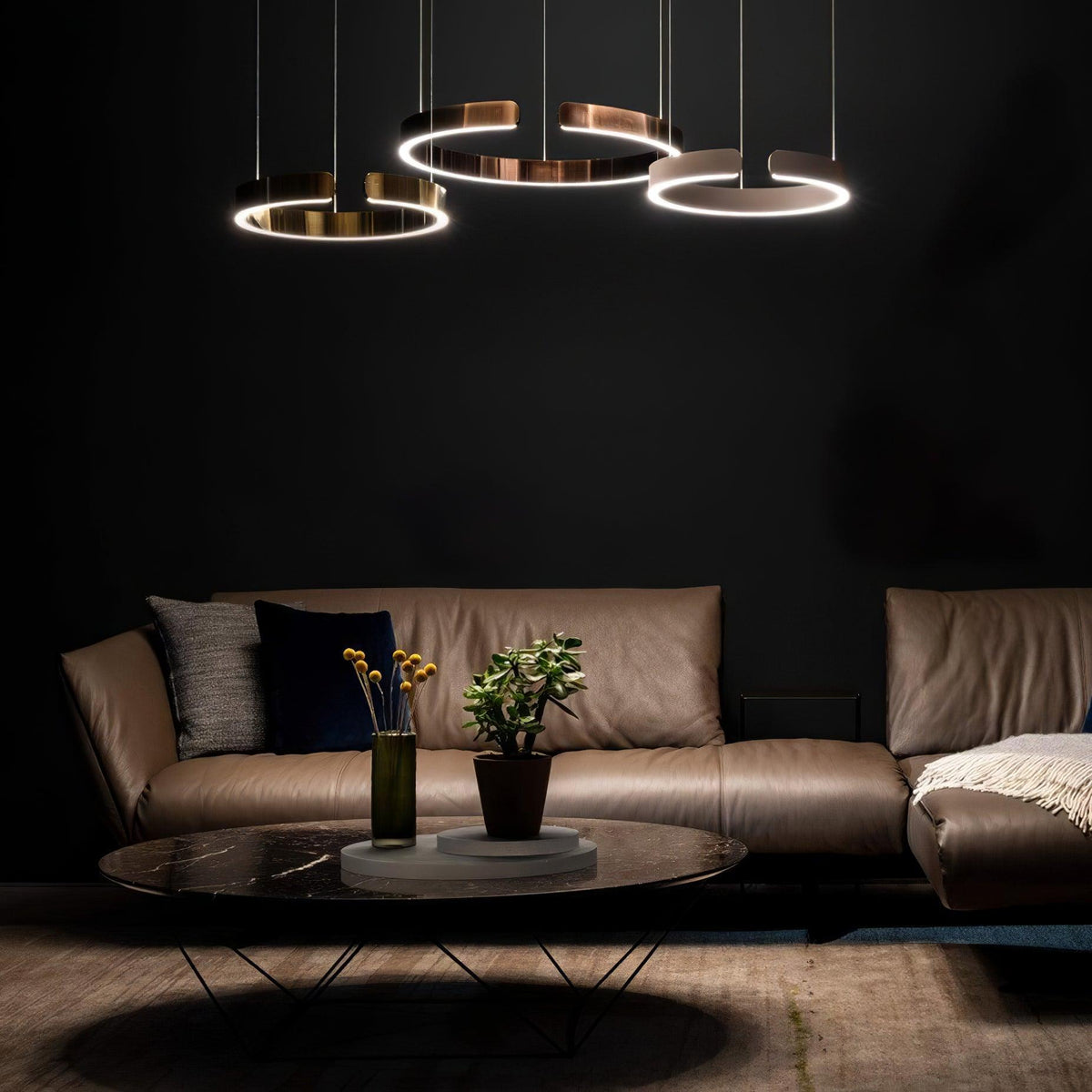 Circular Chandelier - view 7