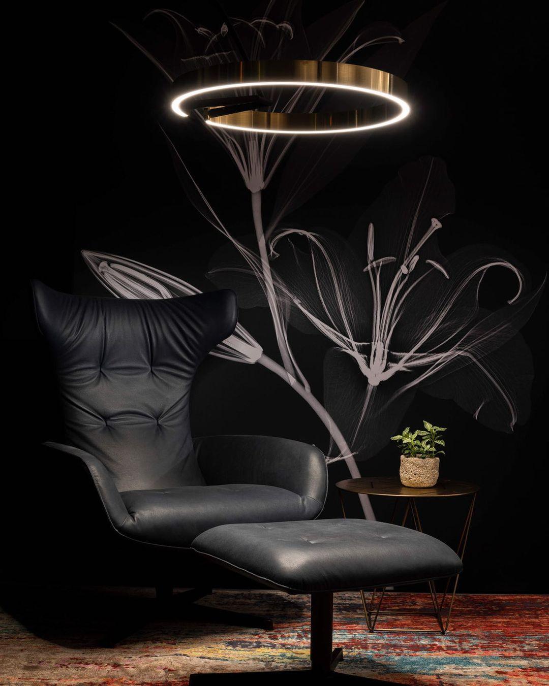 Circular Chandelier - view 58