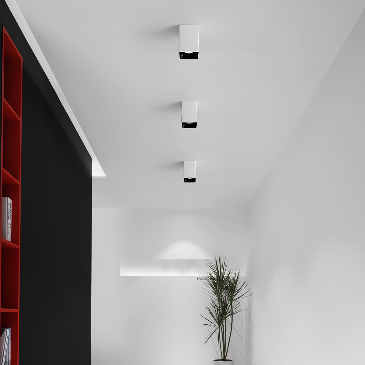 Cube Spotlight - view 10