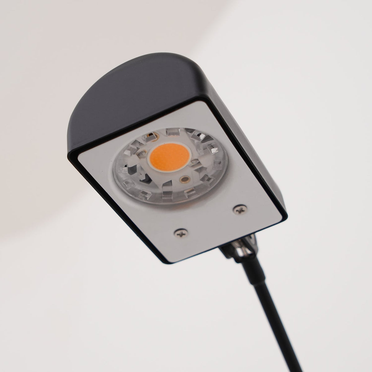 Daphine Floor Lamp - view 57