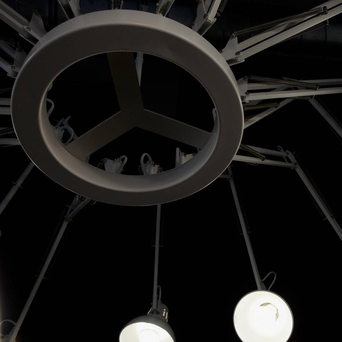 Dear Ingo Chandelier - view 17
