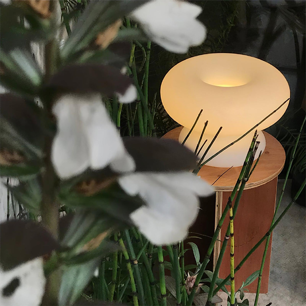 Donut Table Lamp - view 56