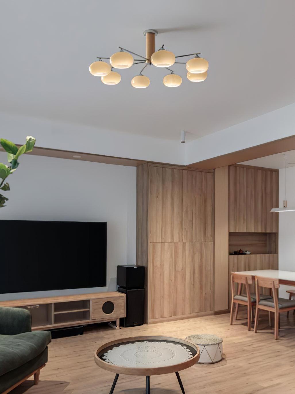 Elliptical Persimmon Chandelier - view 15