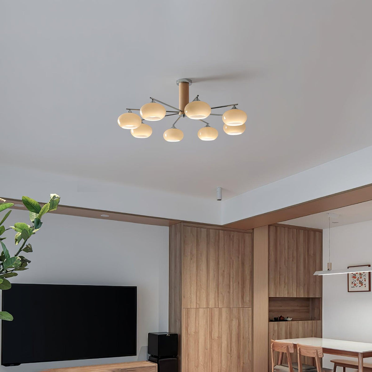 Elliptical Persimmon Chandelier - view 5