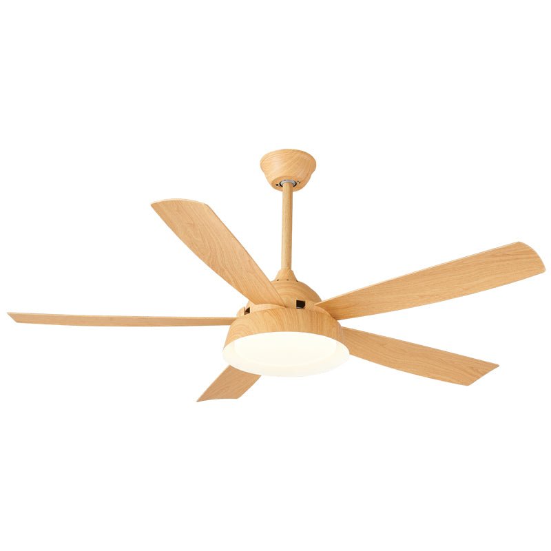 Elysian Ceiling Fan Light
