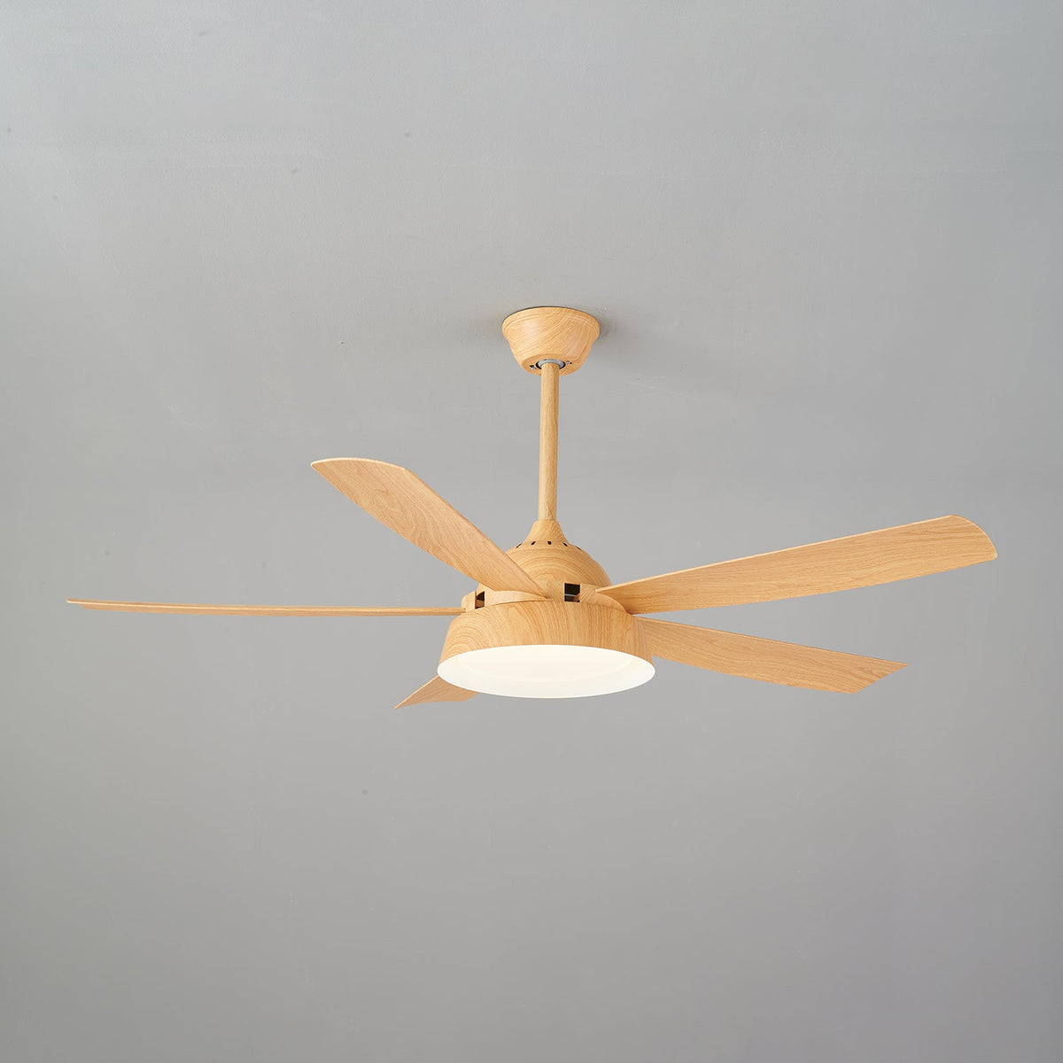 Elysian Ceiling Fan Light