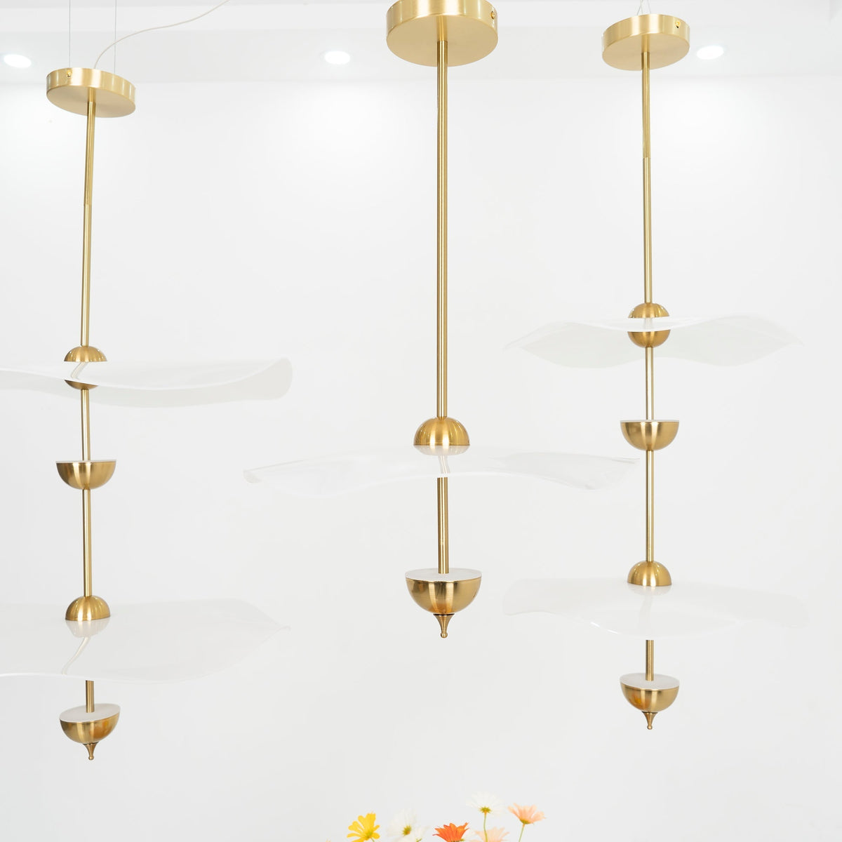 Double Biscuit Pendant Light