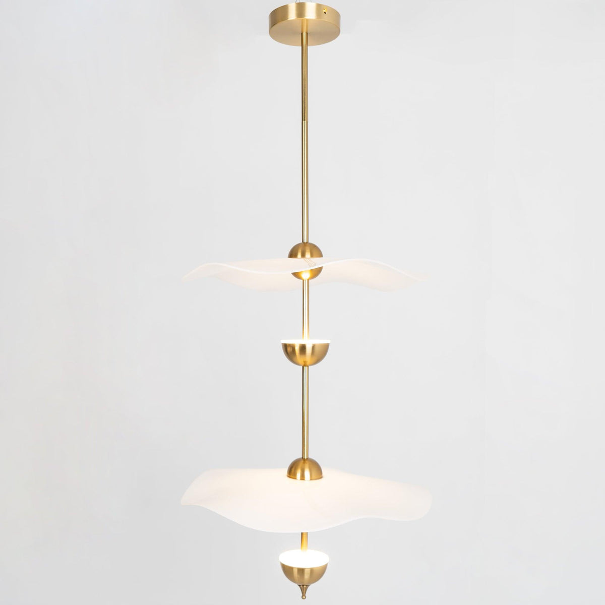 Double Biscuit Pendant Light