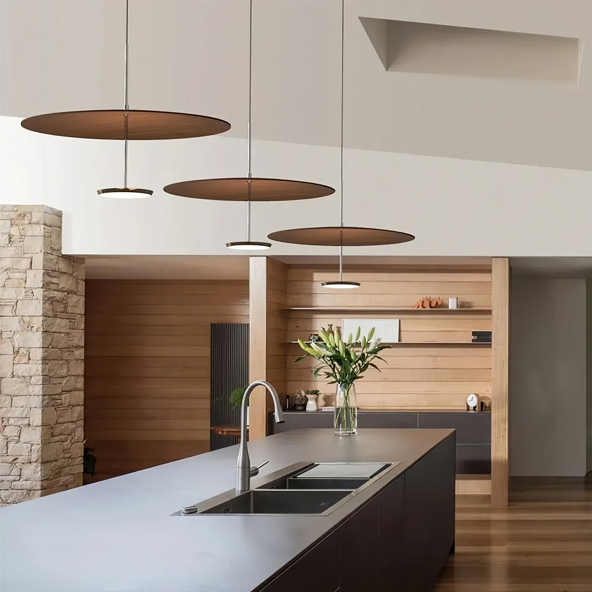 Eryndor Disc Pendant Lamp