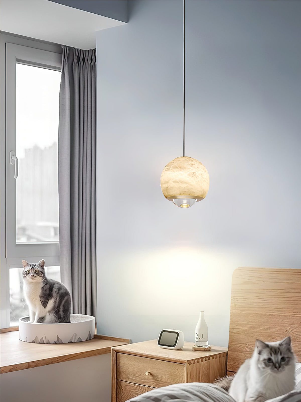 Ferox Pendant Light - view 21