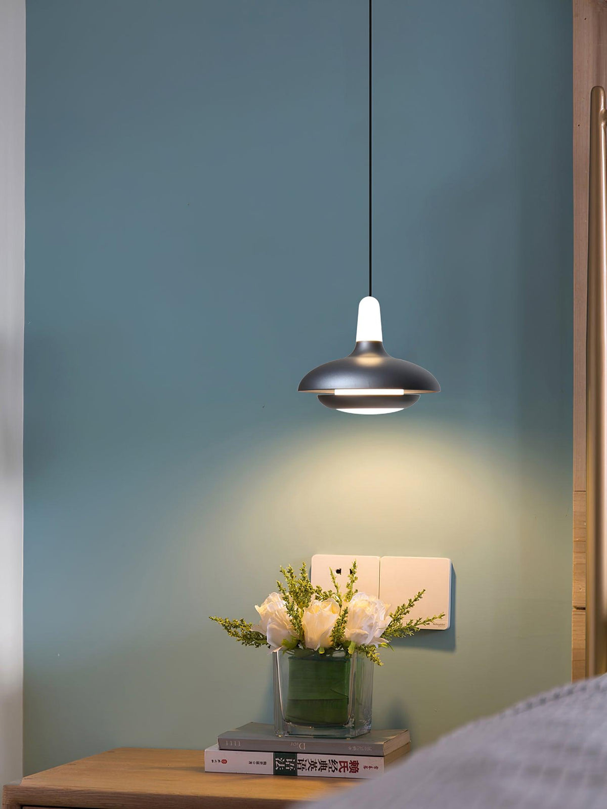 Fiji Pendant Light - view 16