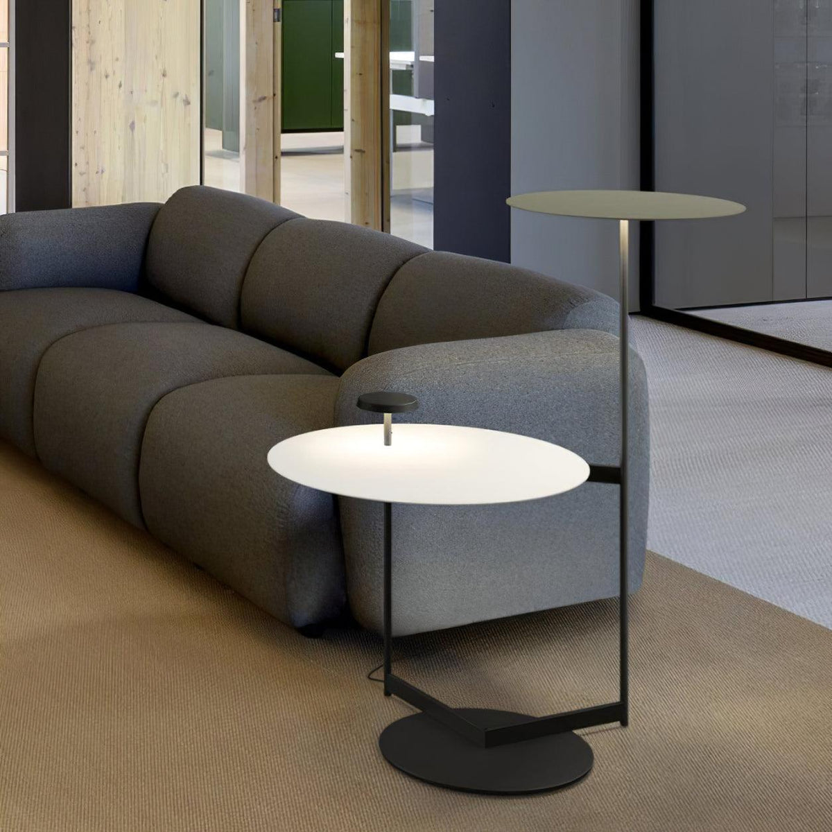 Flat Floor Lamp - view 12