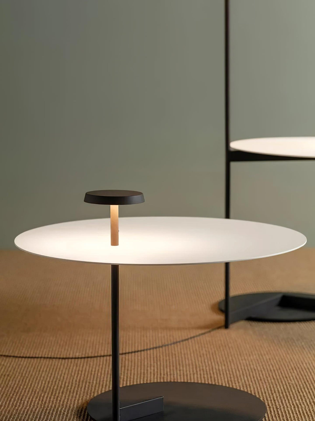 Flat Floor Lamp - view 15