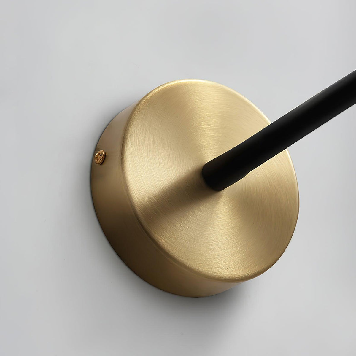 Flexi Hose Plug-in Wall Light - view 16