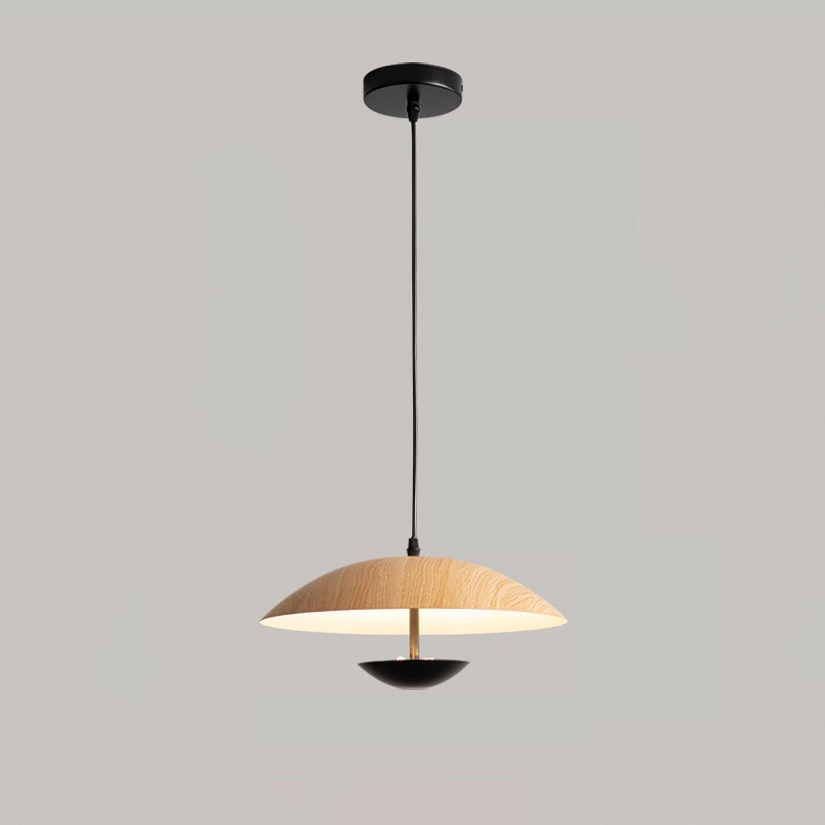 Frisbee Pendant Lamp