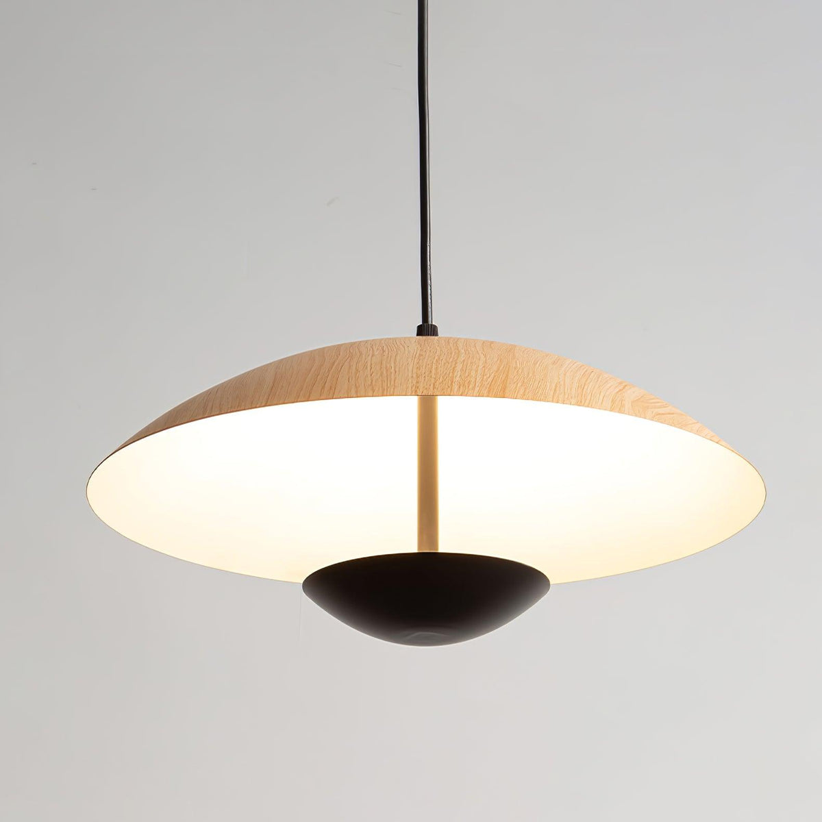 Frisbee Pendant Lamp
