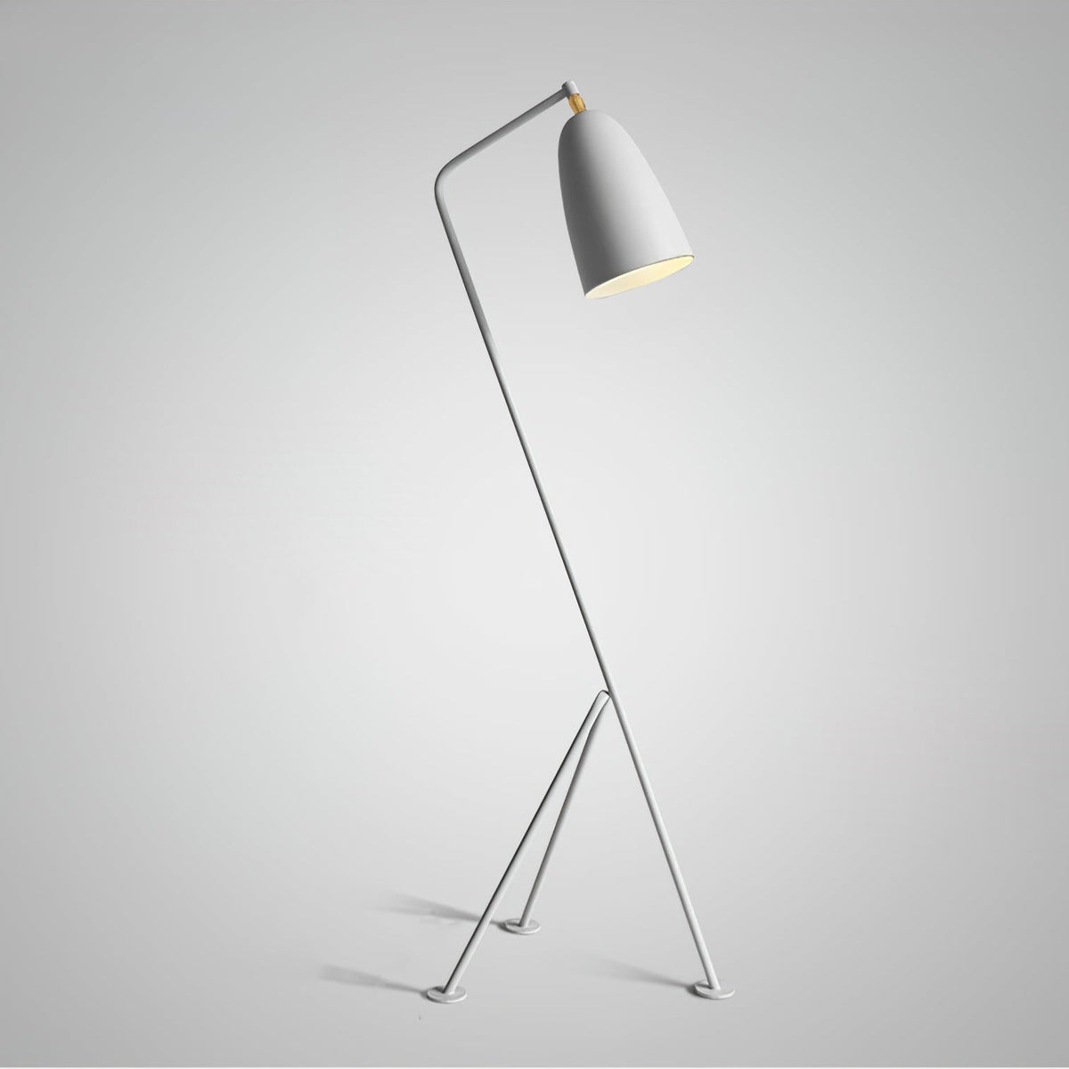 Lean Floor Lamp - view 17